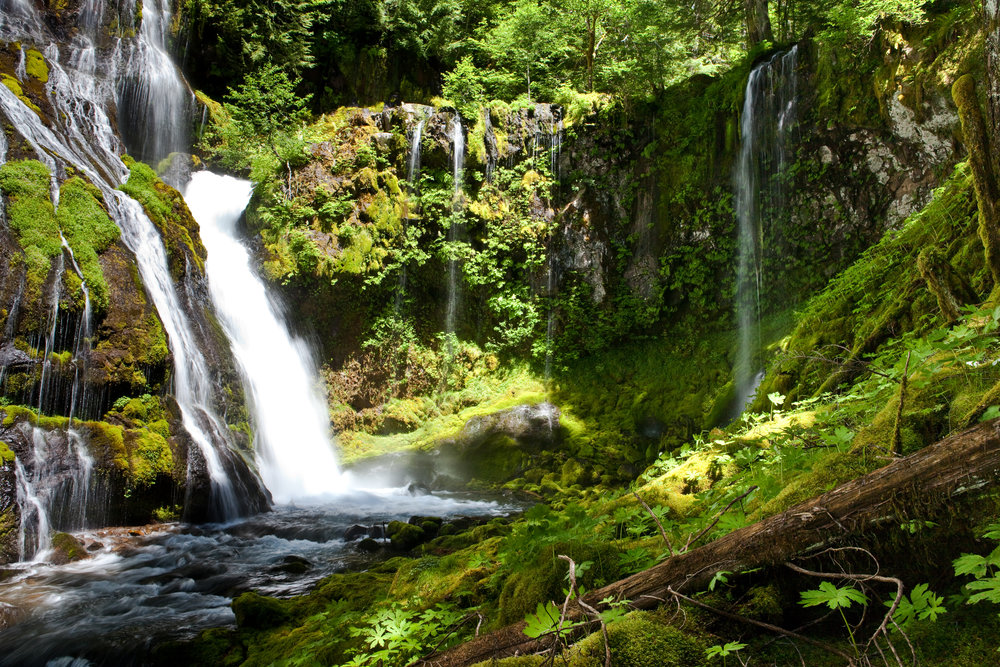 Panther Creek Falls