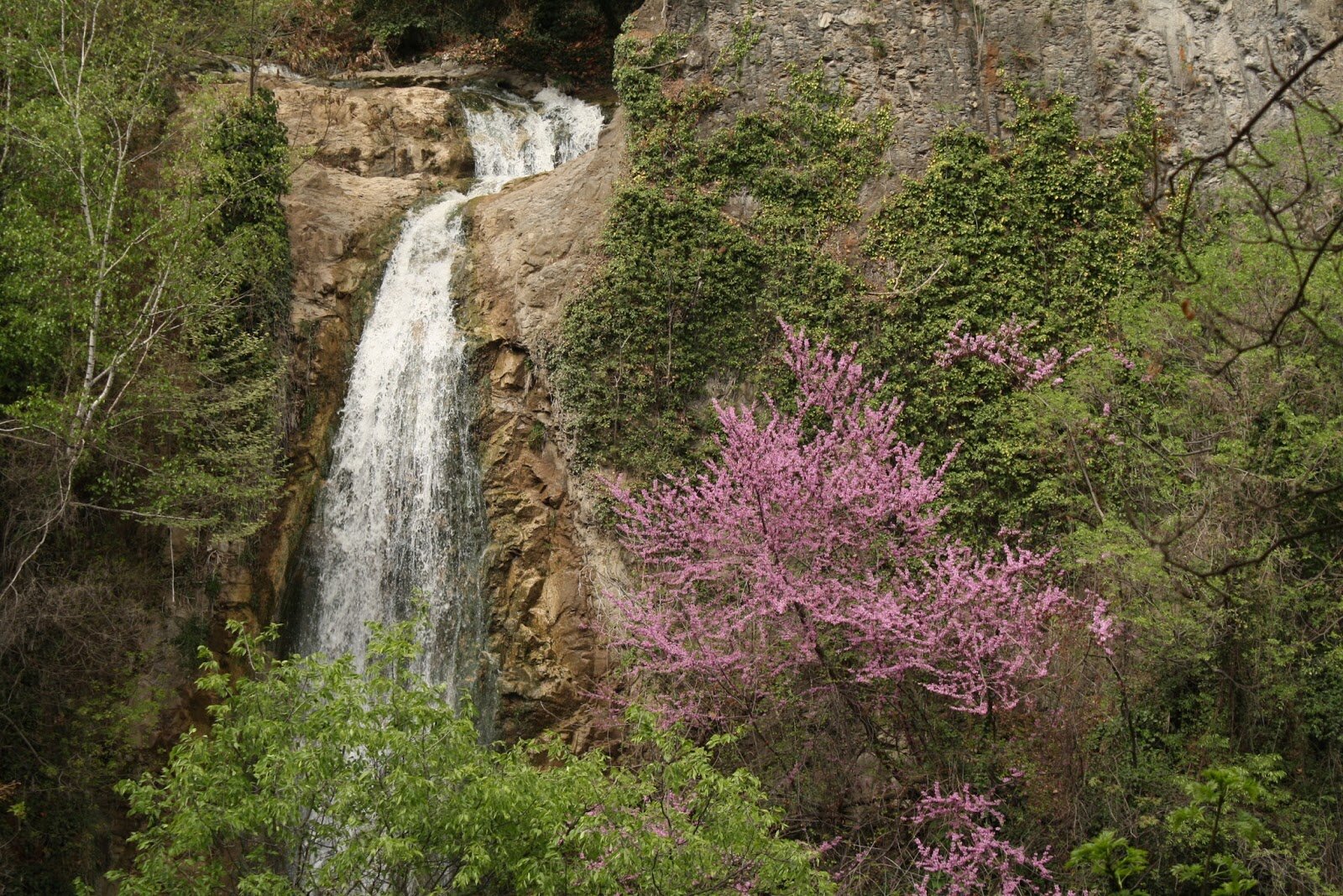 Waterfall,_Tbilisi_Botanical_Garden,_Georgia.jpg