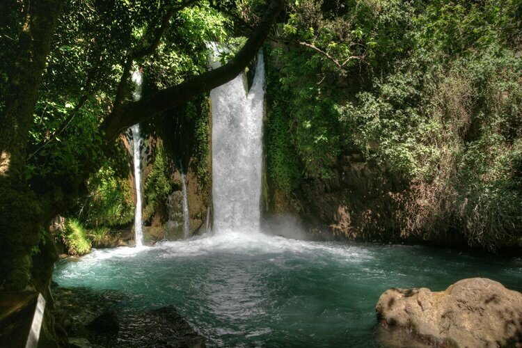 Banias Spring &amp; Falls
