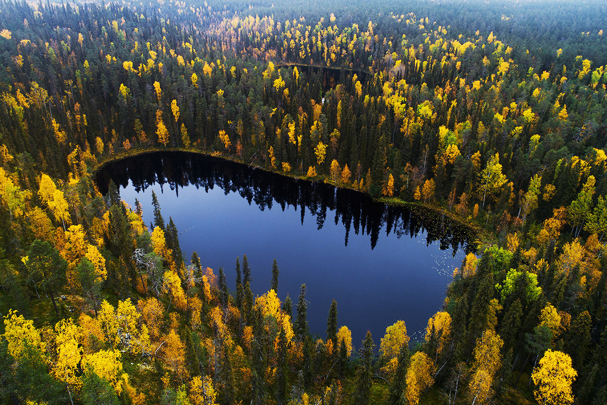 Dots-on-Maps-Oulanka-Autumn-Finland.jpg