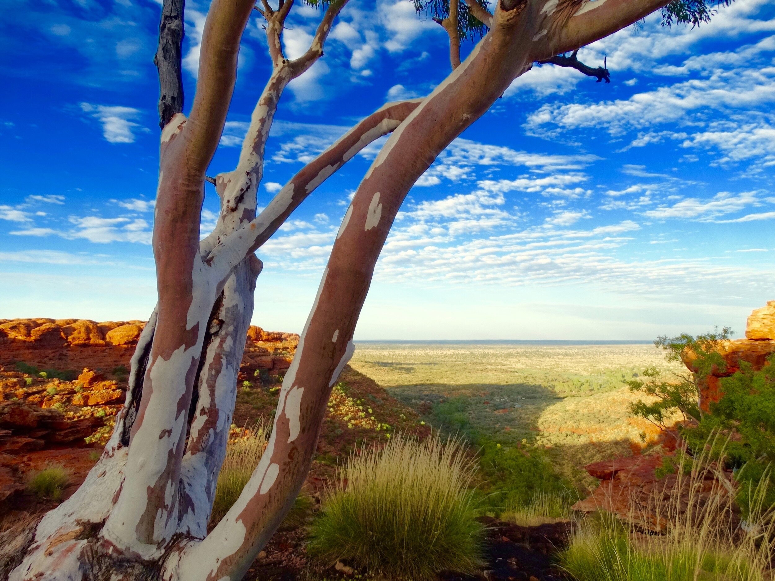 Dots-on-Maps-Watarrka-National-Park-Kings-Canyon-Northern-Territory-NT-Australia.jpg