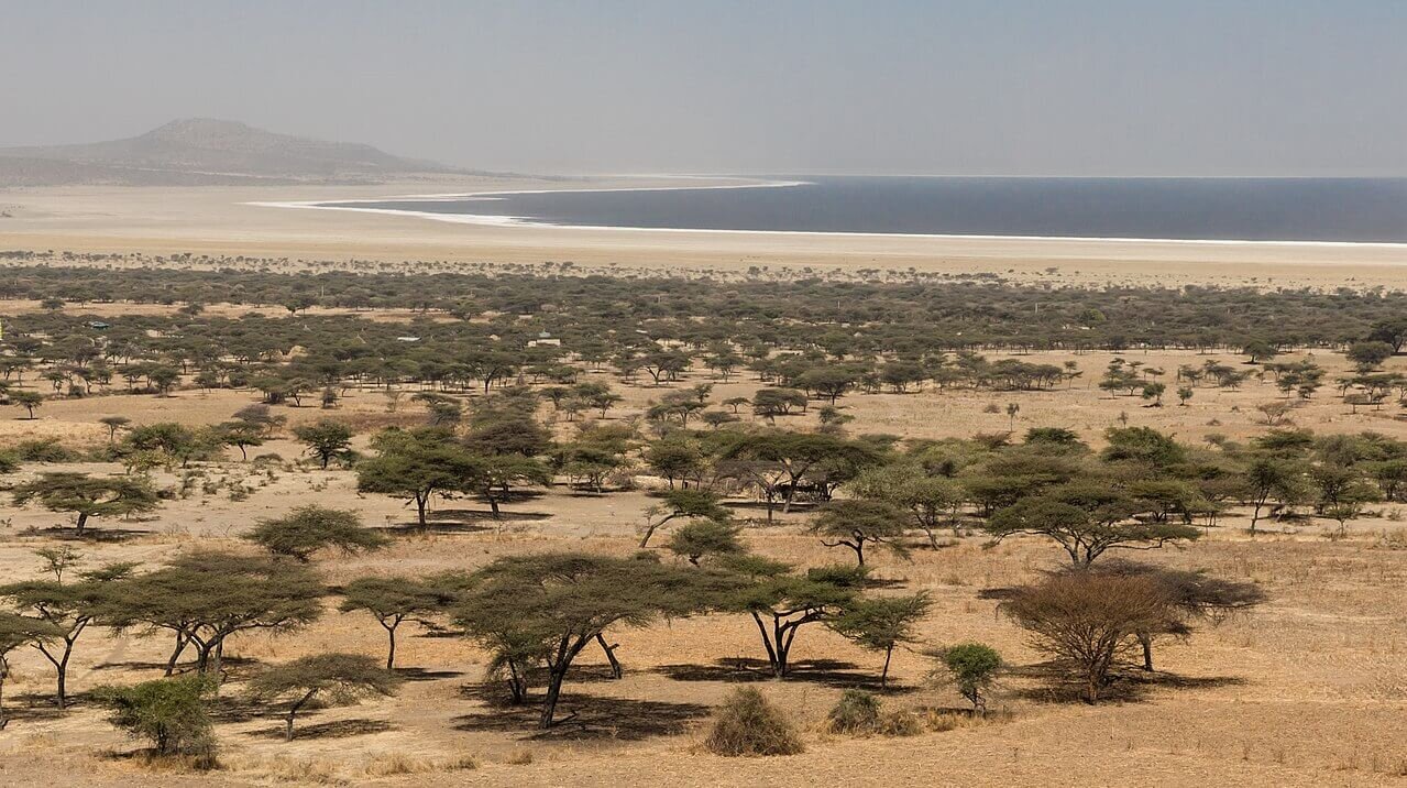 Dots-on-Maps-Abidjatta-Shalla-National-Park-Lake-Ethiopia.jpg