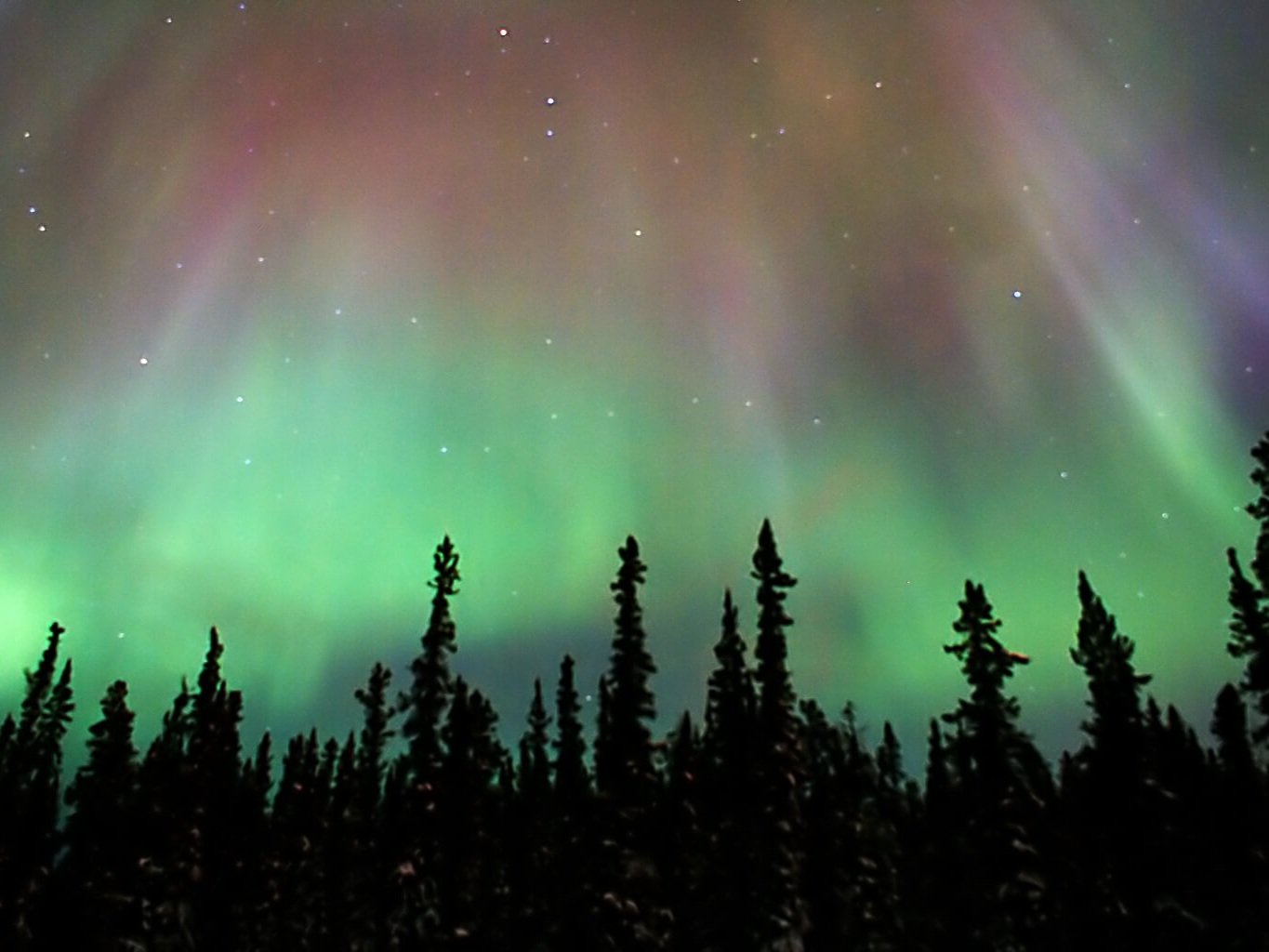 Northern Lights in Yukon