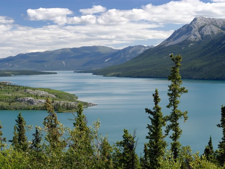 Tagish Lake (Yukon)