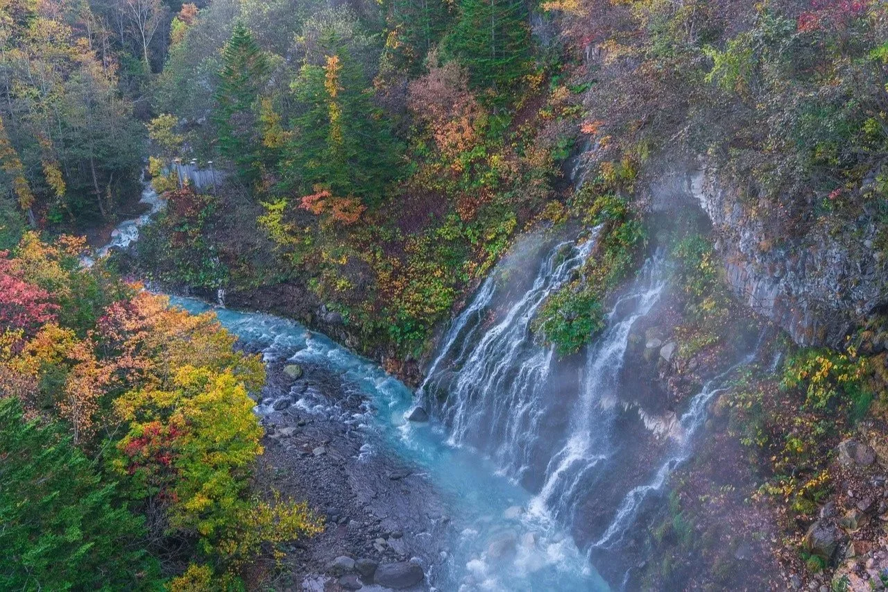 Magical ● Japan.