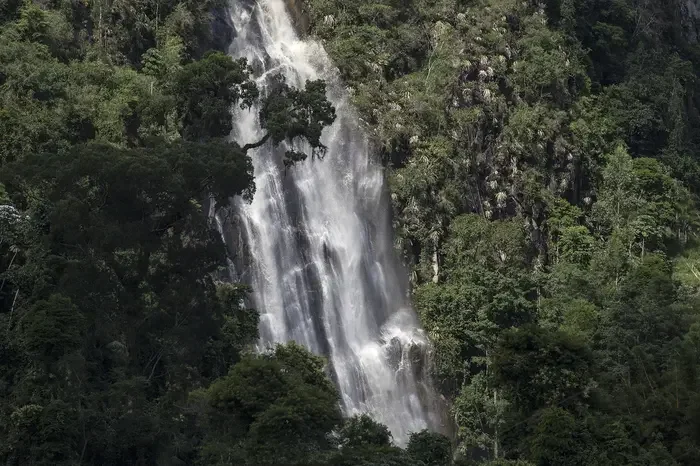 Rainforests ● Brazil.