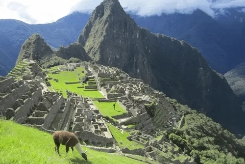 Archaeology ● South America.