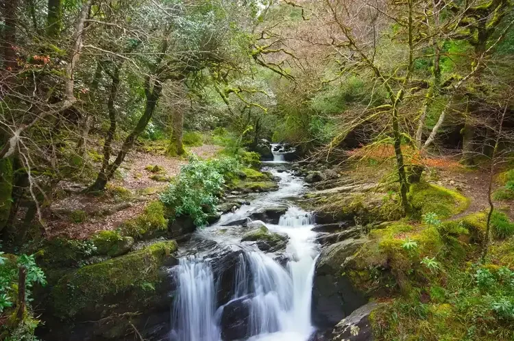 Magical ● Ireland.