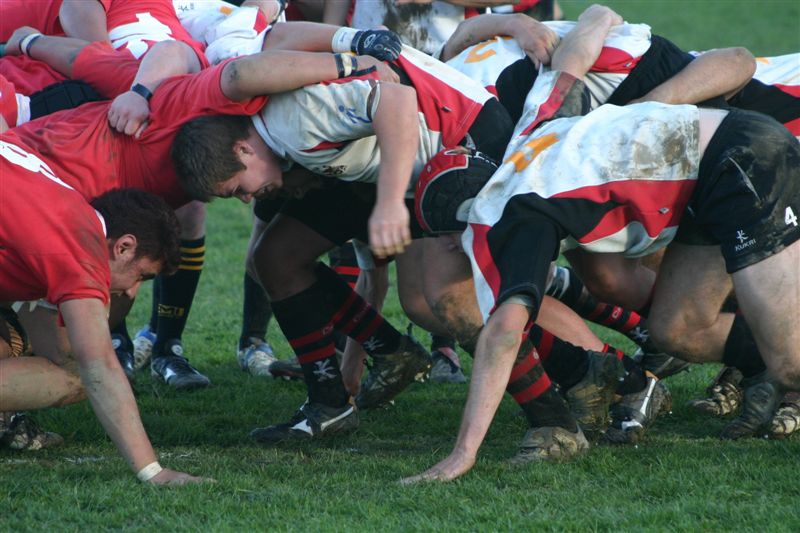 scrum grib.jpg