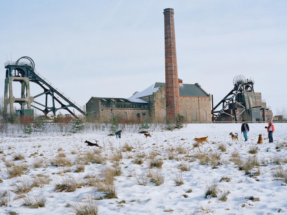 Dogs and their owners playing in the snow, former Pleasley Colliery site.