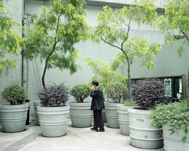 admirality-garden.jpg