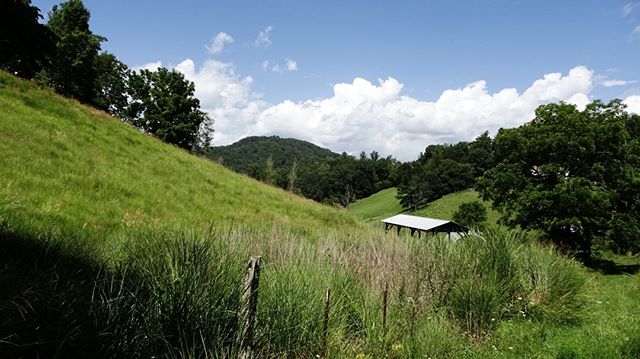 LISTING FEATURE!

Angel Road - 48 acres 
PRIVACY &amp; VIEWS!
30 minutes north of Asheville (7 minutes to I-26). Secluded upland cove-farm, owner is selling off his &quot;back 48&quot; acres with private right of way, wonderful layered mountain views