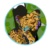 Leopard_Book and Cards.png