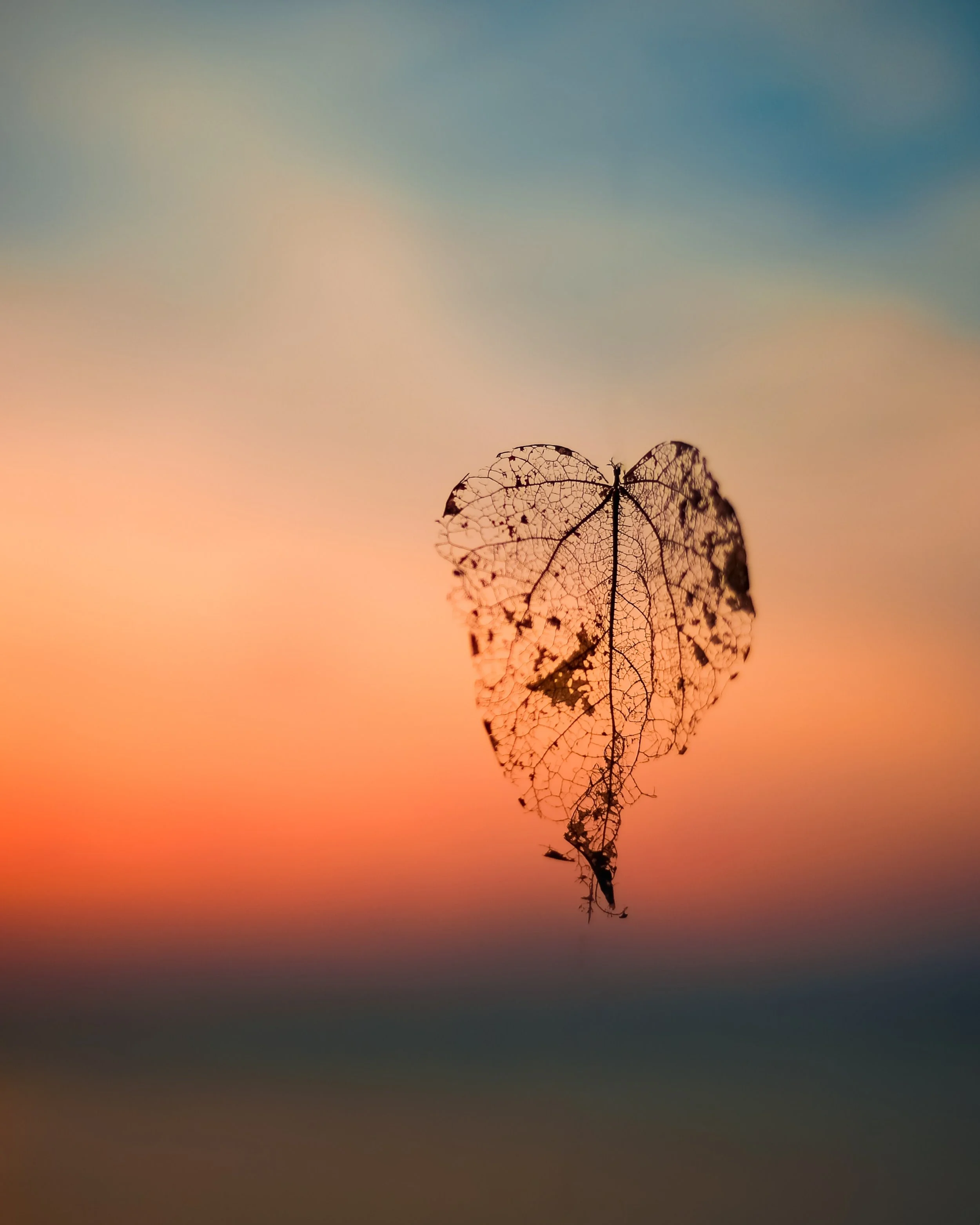 Photo by Ali Abdul Rahman on Unsplash