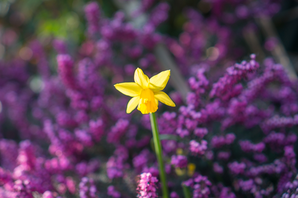 Your Marketing and Being Visible