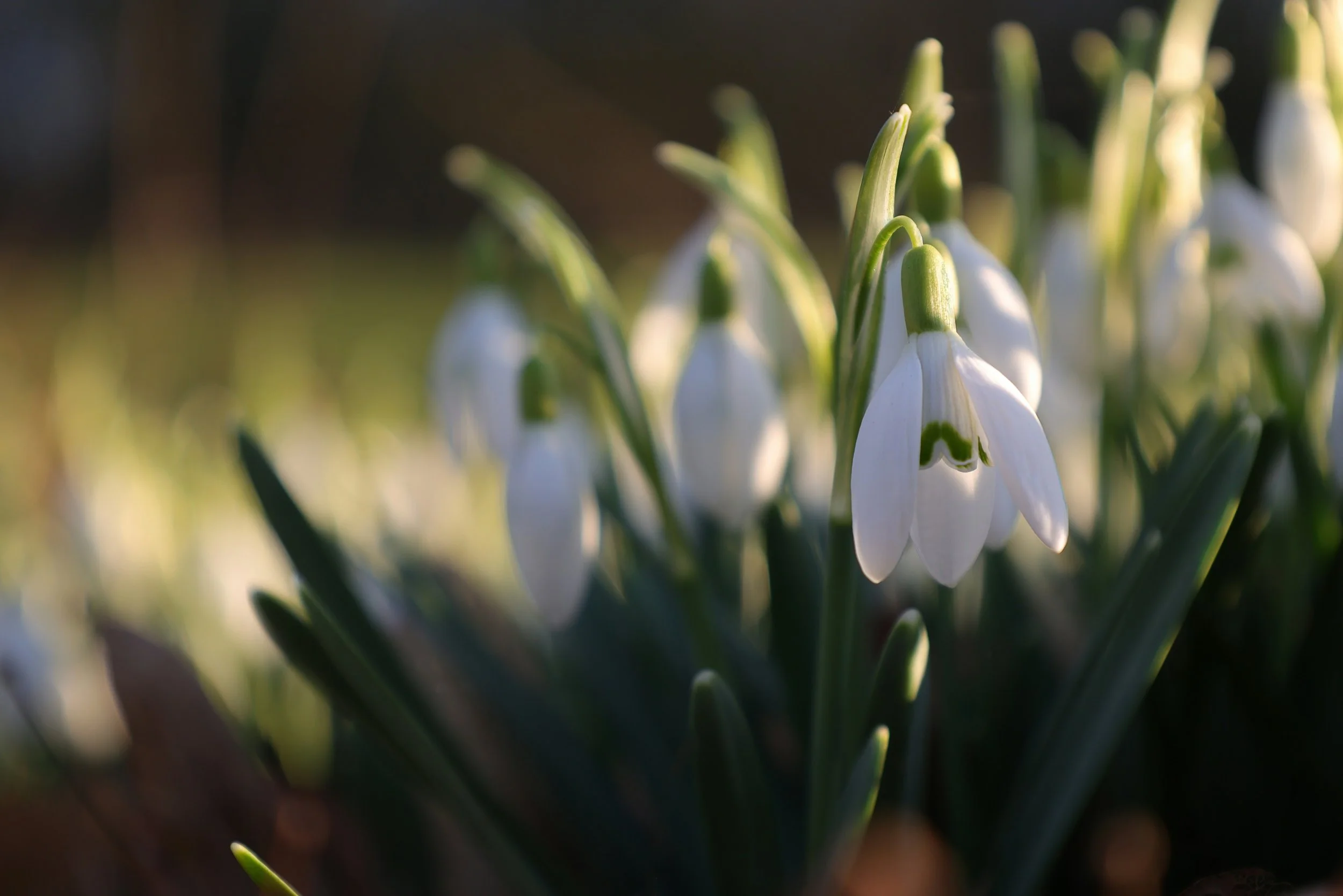 Unlocking Your Intuitive Writer: Recognizing Signs You're Out of Flow