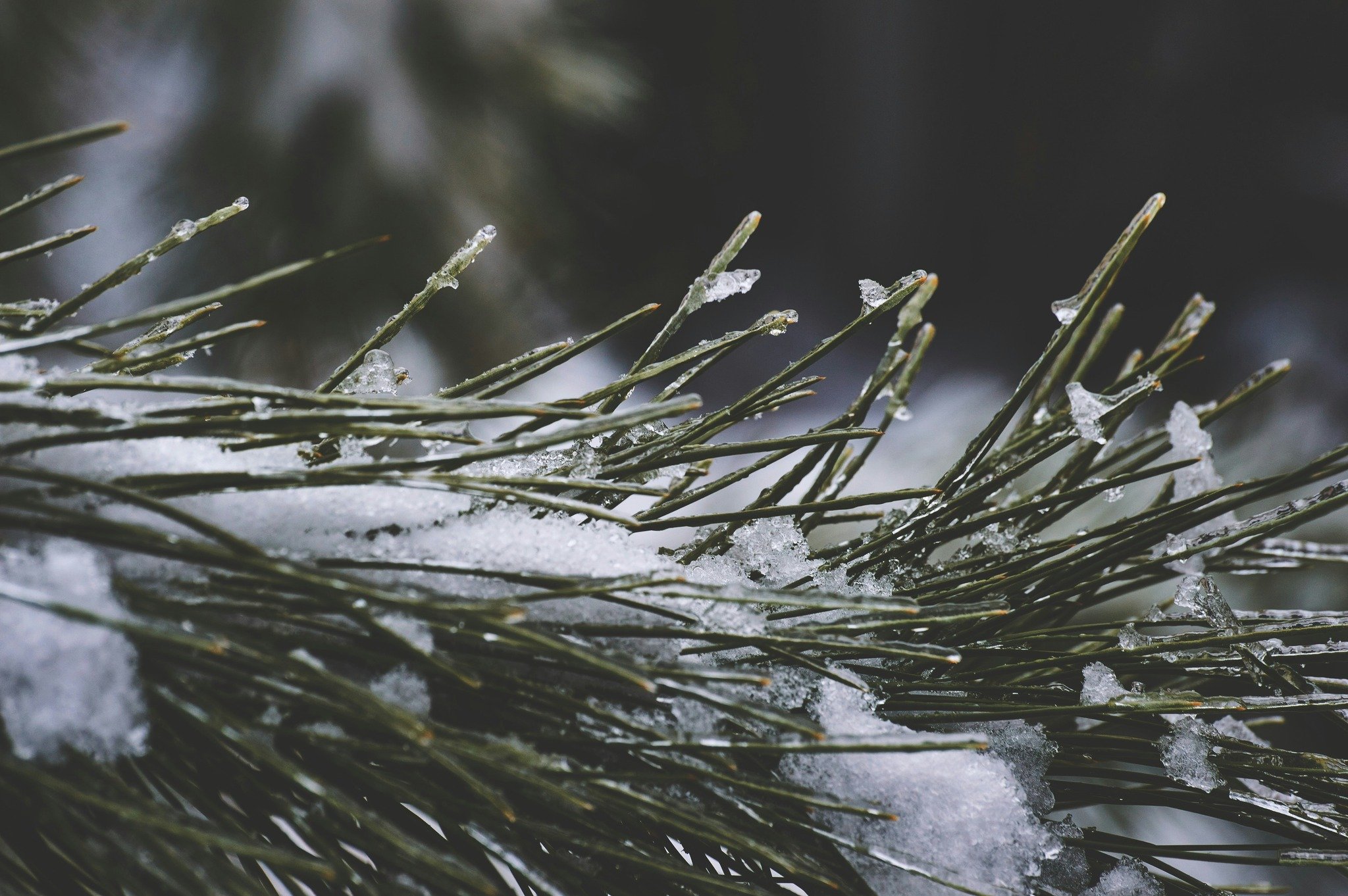 Not all support is created equal. Sometimes the help we need in our creative journeys isn't just about what we're learning&mdash;it's about how we learn best. I wrote about finding the right kind of support for your creative work 

Link in bio