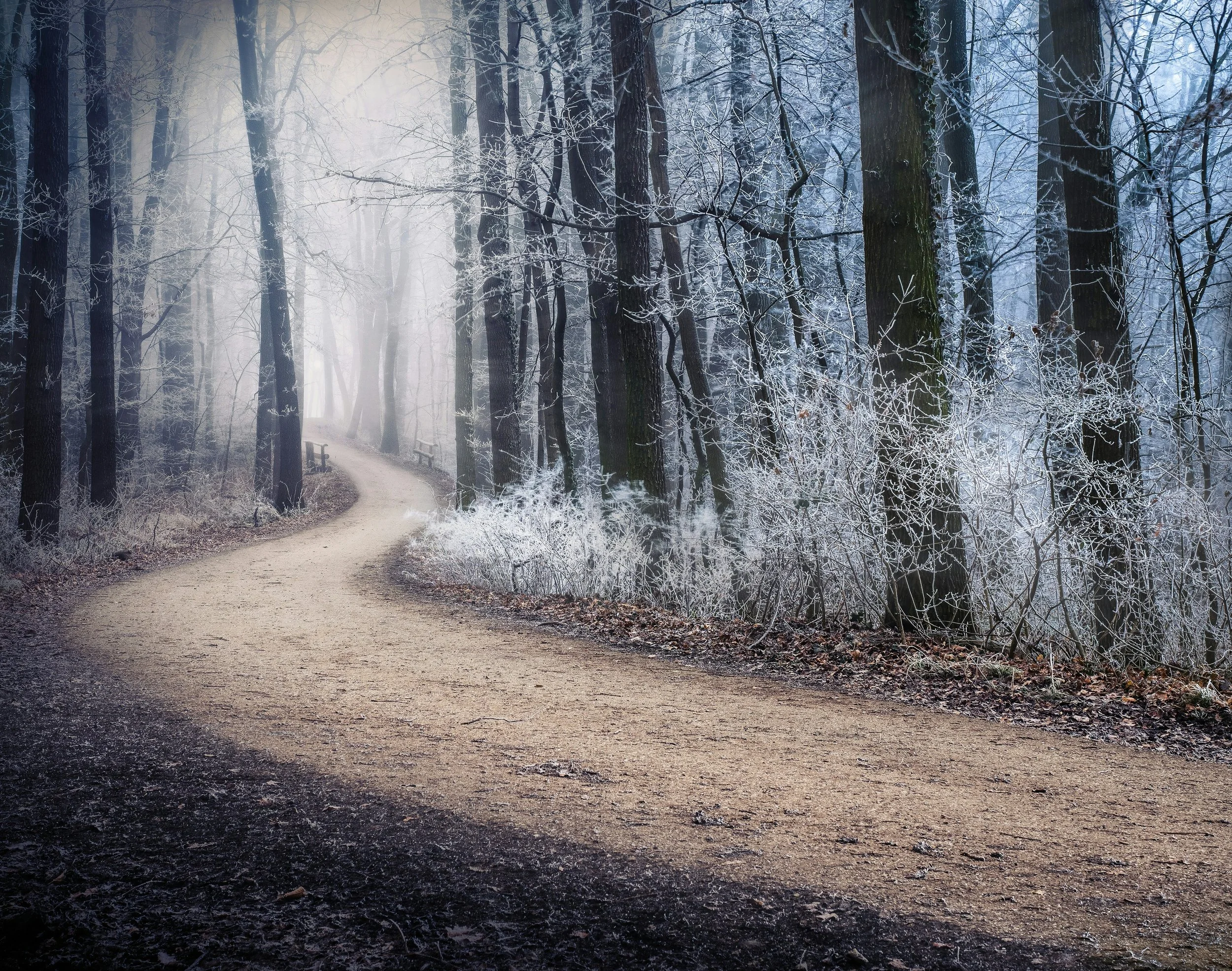 Creating Sacred Space for Your Creative Practice