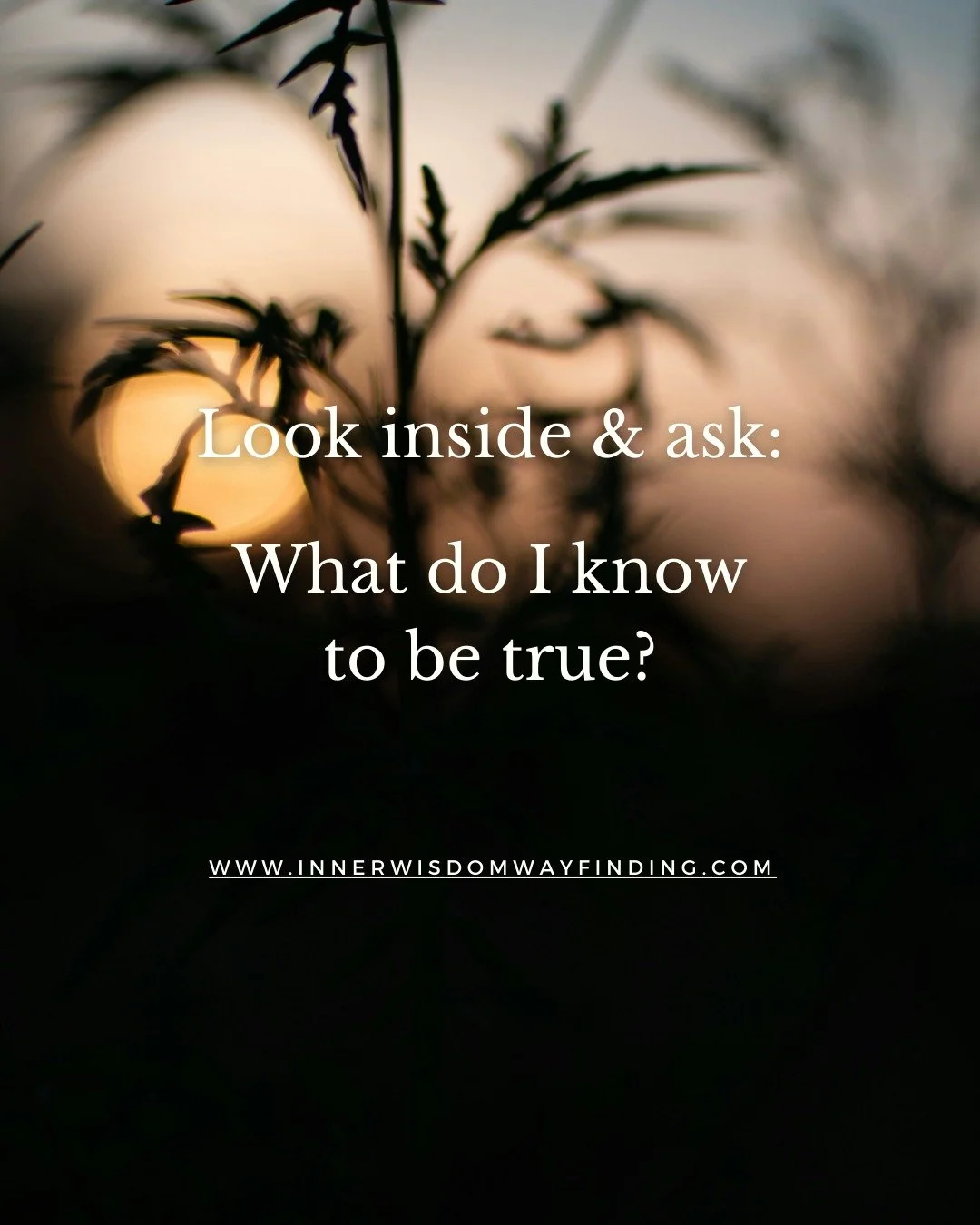 The winter solstice passed just a few days ago; it was the shortest day, the longest night. And it's one of nature's reliable rhythms. I believe it offers us an invitation: to pause and turn inward.

What do we know now about ourselves that we didn't