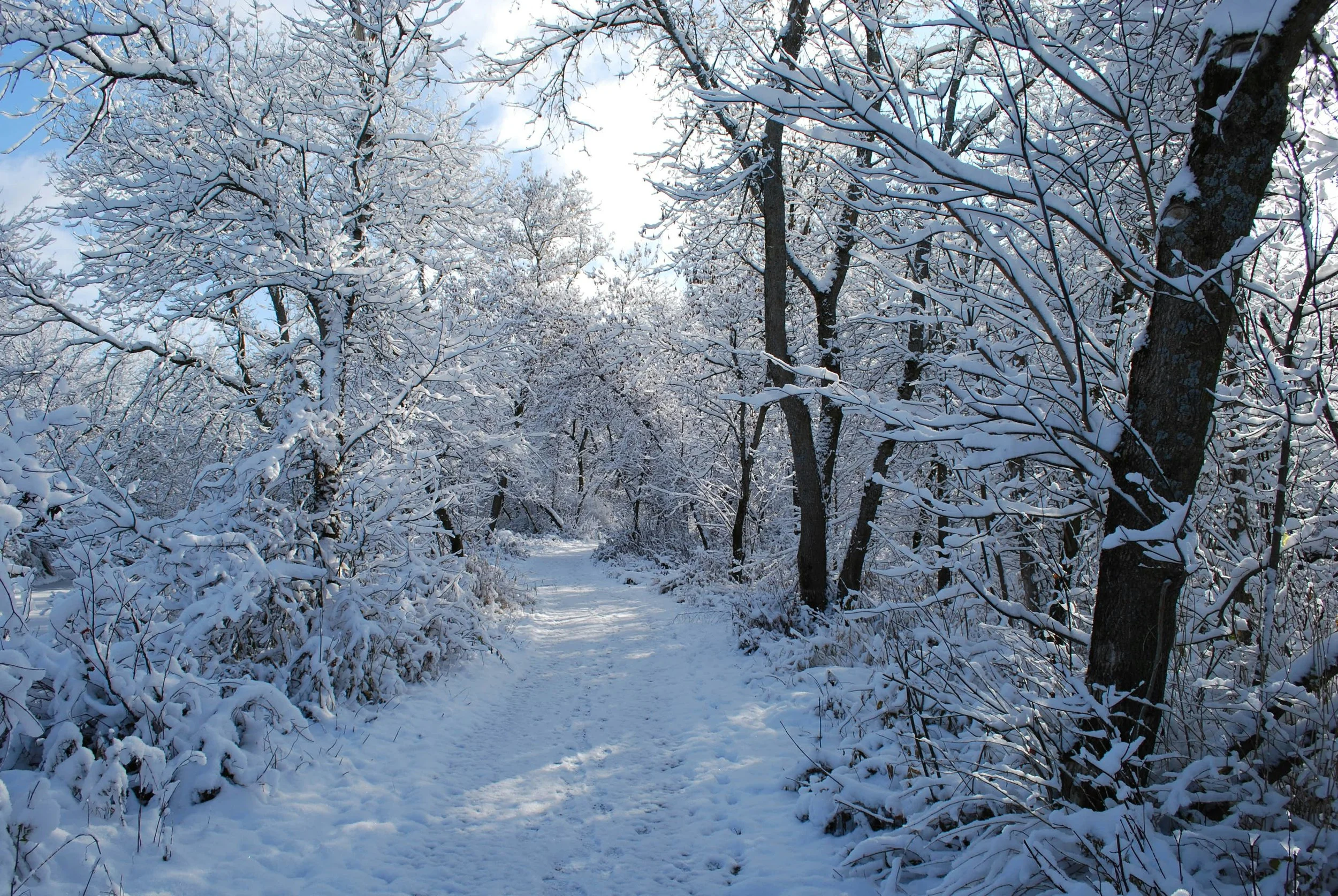 For You, In The New Year