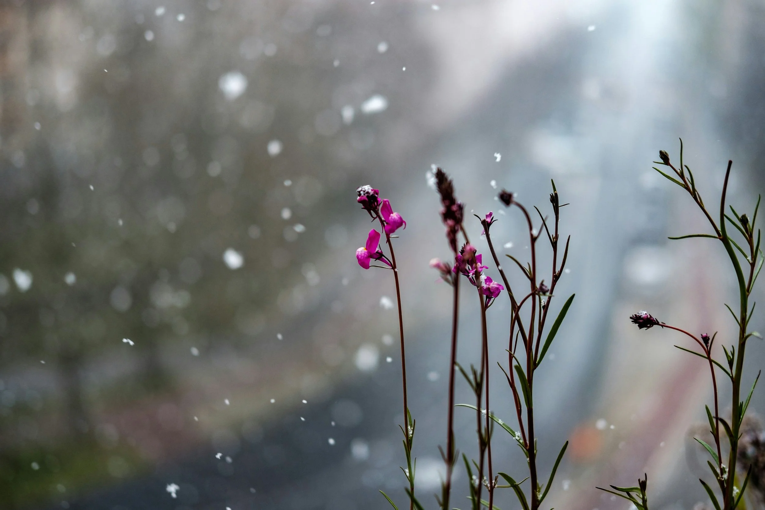 Your Writing Needs a Relationship