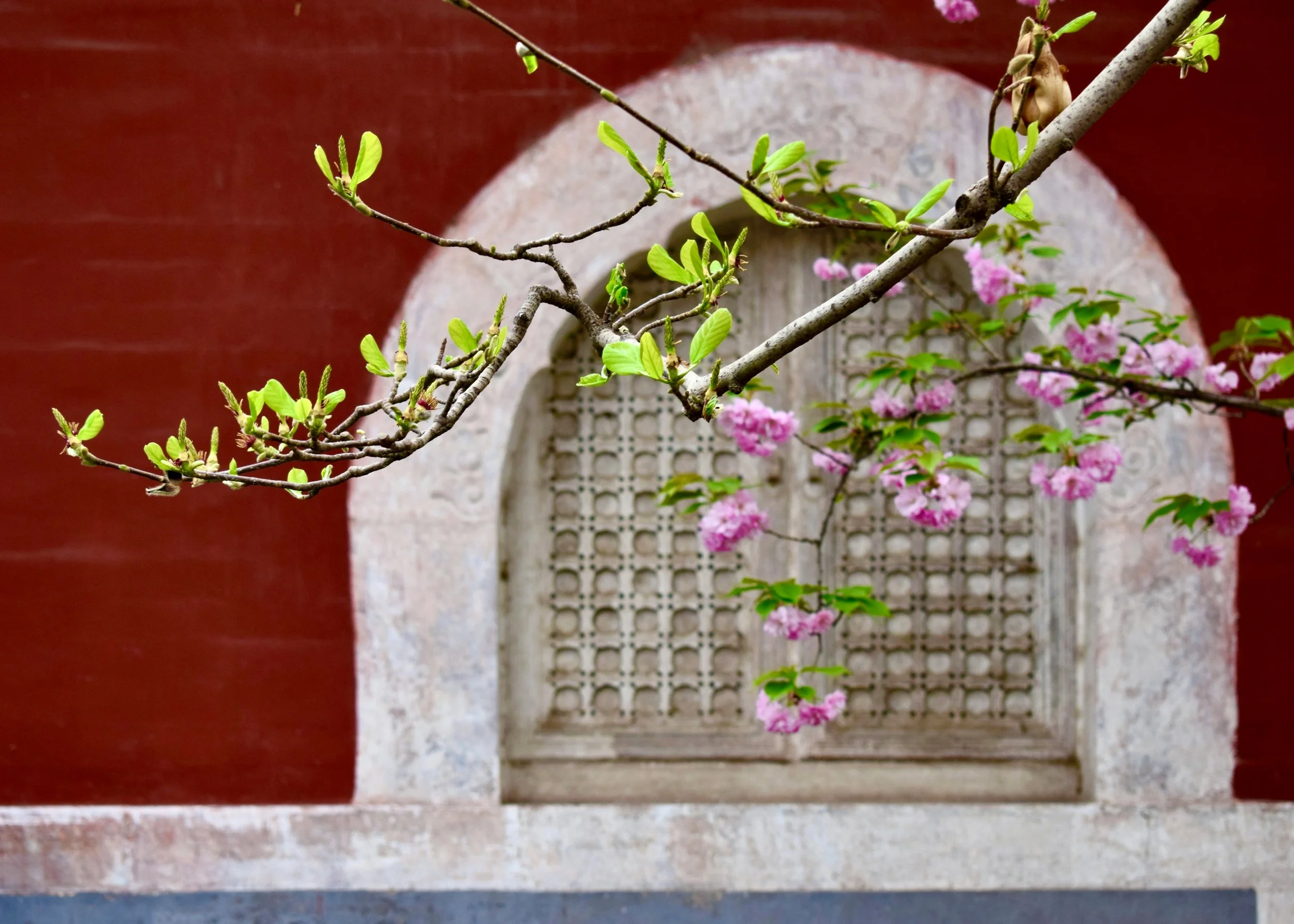 zhang-meng-hL7sBYDdyeE-unsplash (1).jpg