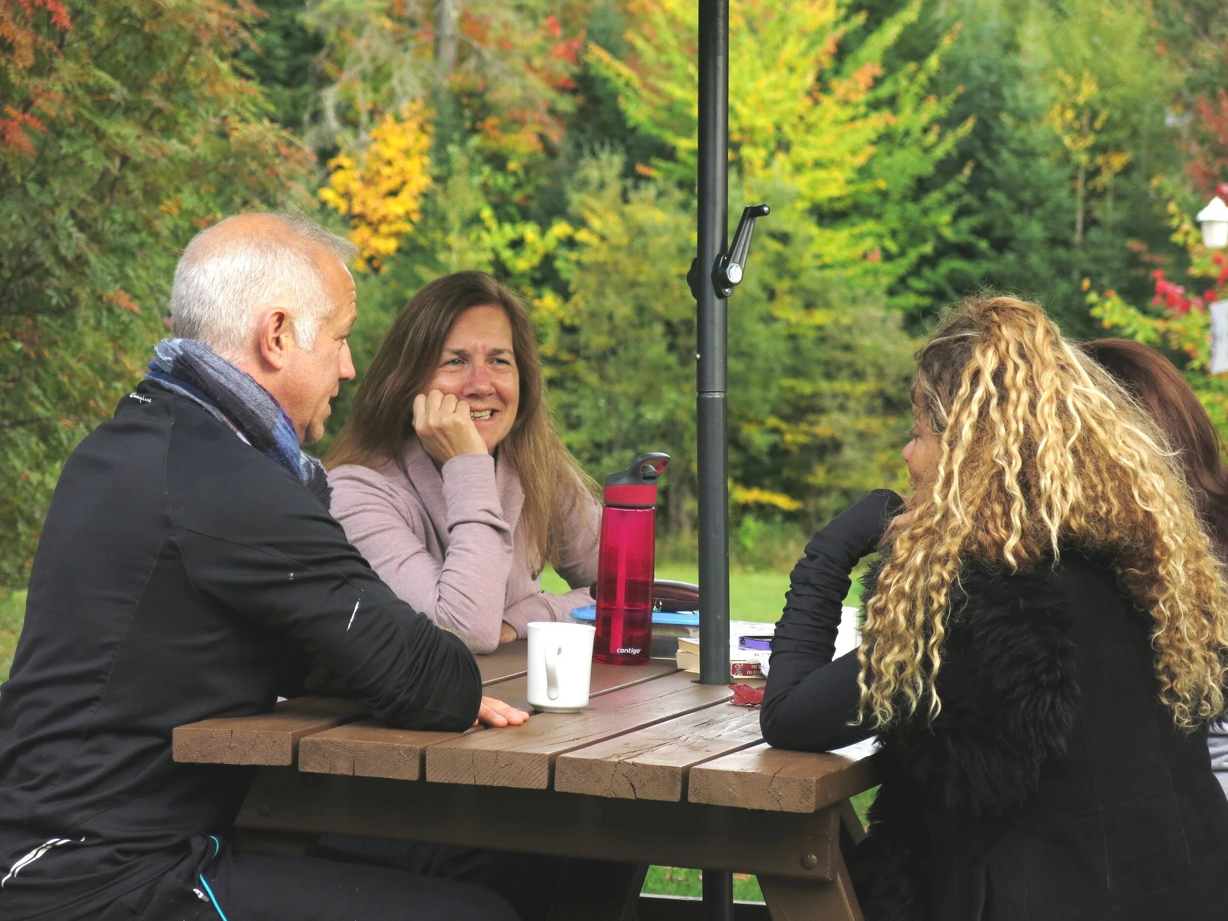 Kio-o+Quebec+Cat+Doyle