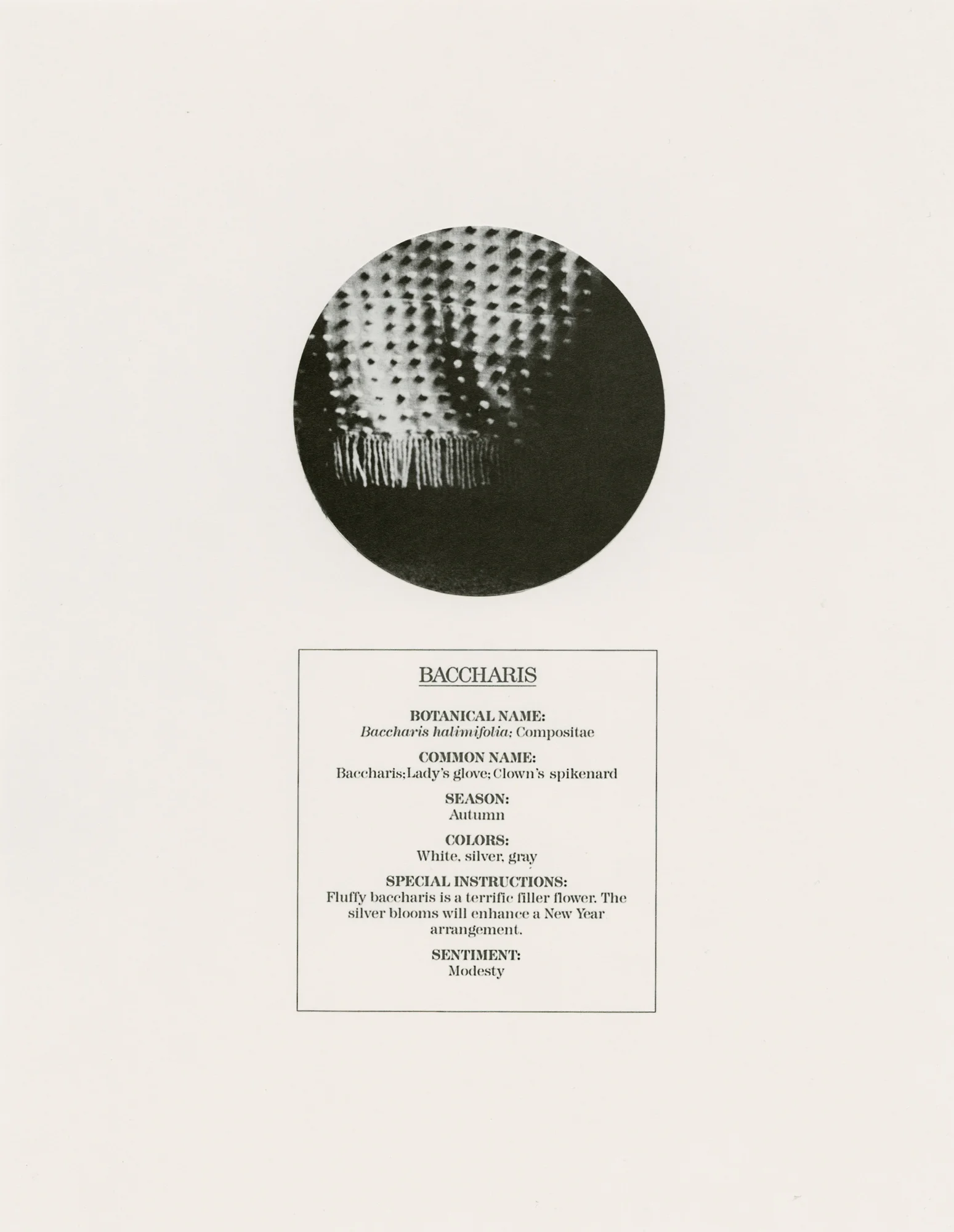 sophie-jodoin_a-catalogue-of-artificial-sentiments_modesty_2016.jpg
