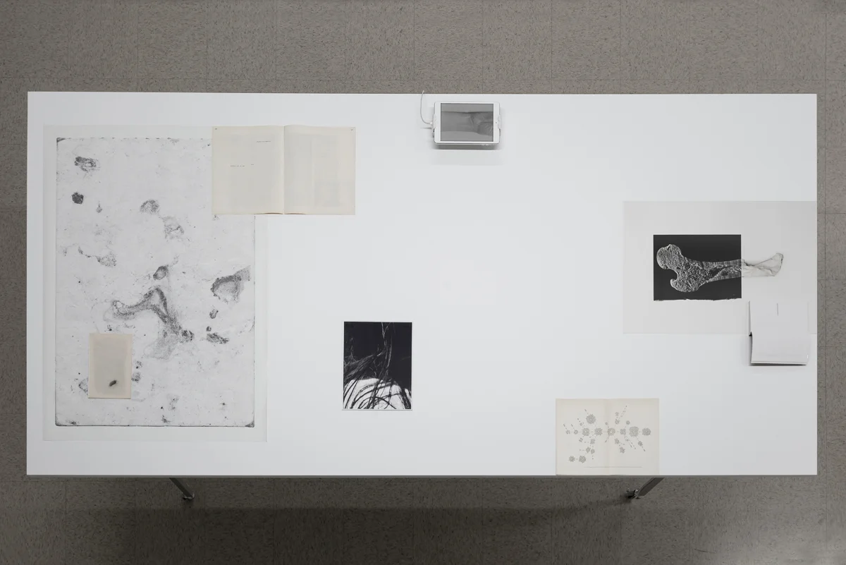 sophie-jodoin_rooms-to-move-je-tu-elle_macl_2018-26.jpg