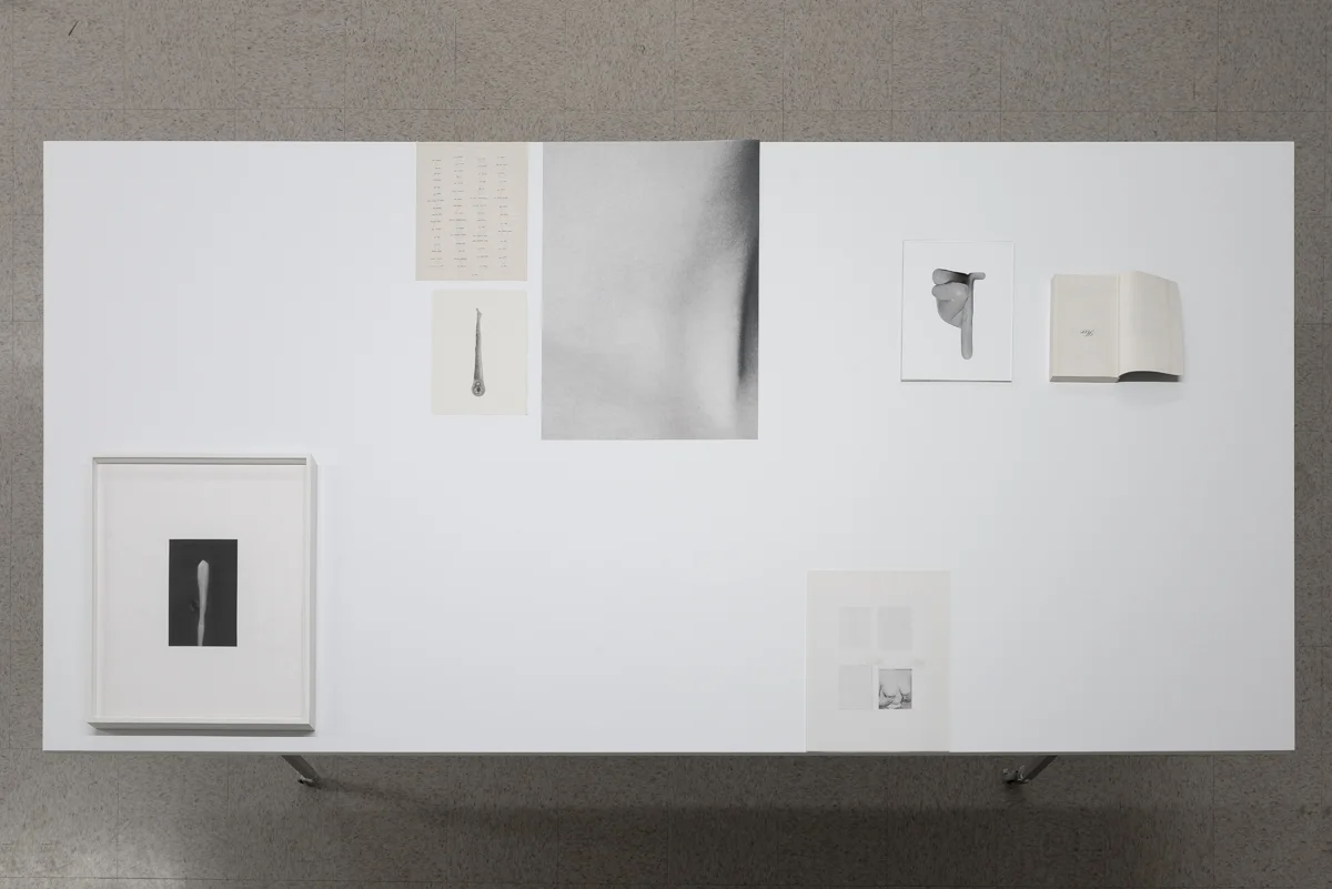 sophie-jodoin_rooms-to-move-je-tu-elle_macl_2018-21.jpg