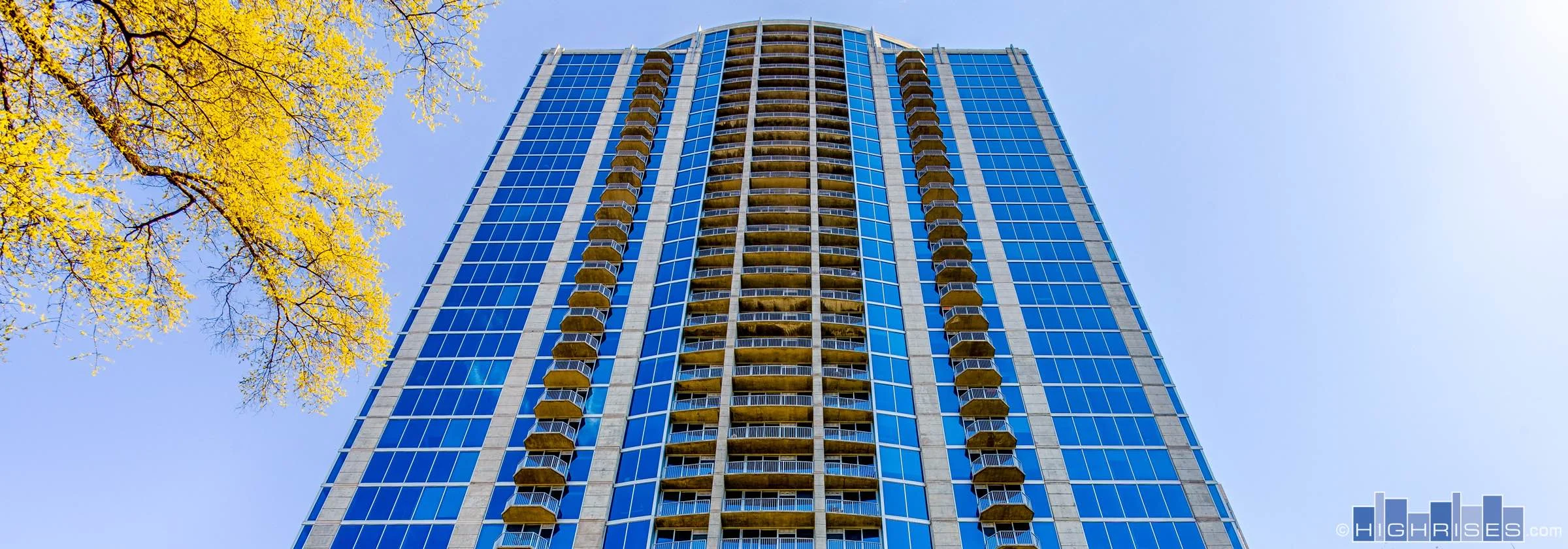charlotte-avenue-uptown-banner.jpg