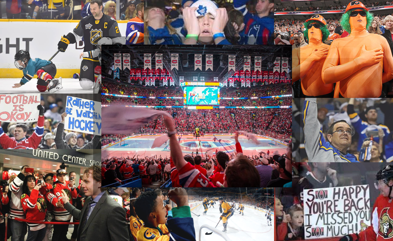nhl fan board.png