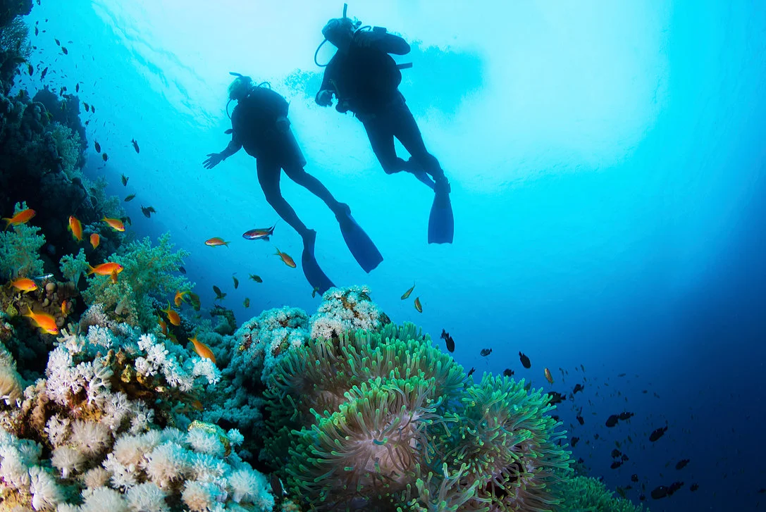 Diving Tofino Travel Insurance.jpg