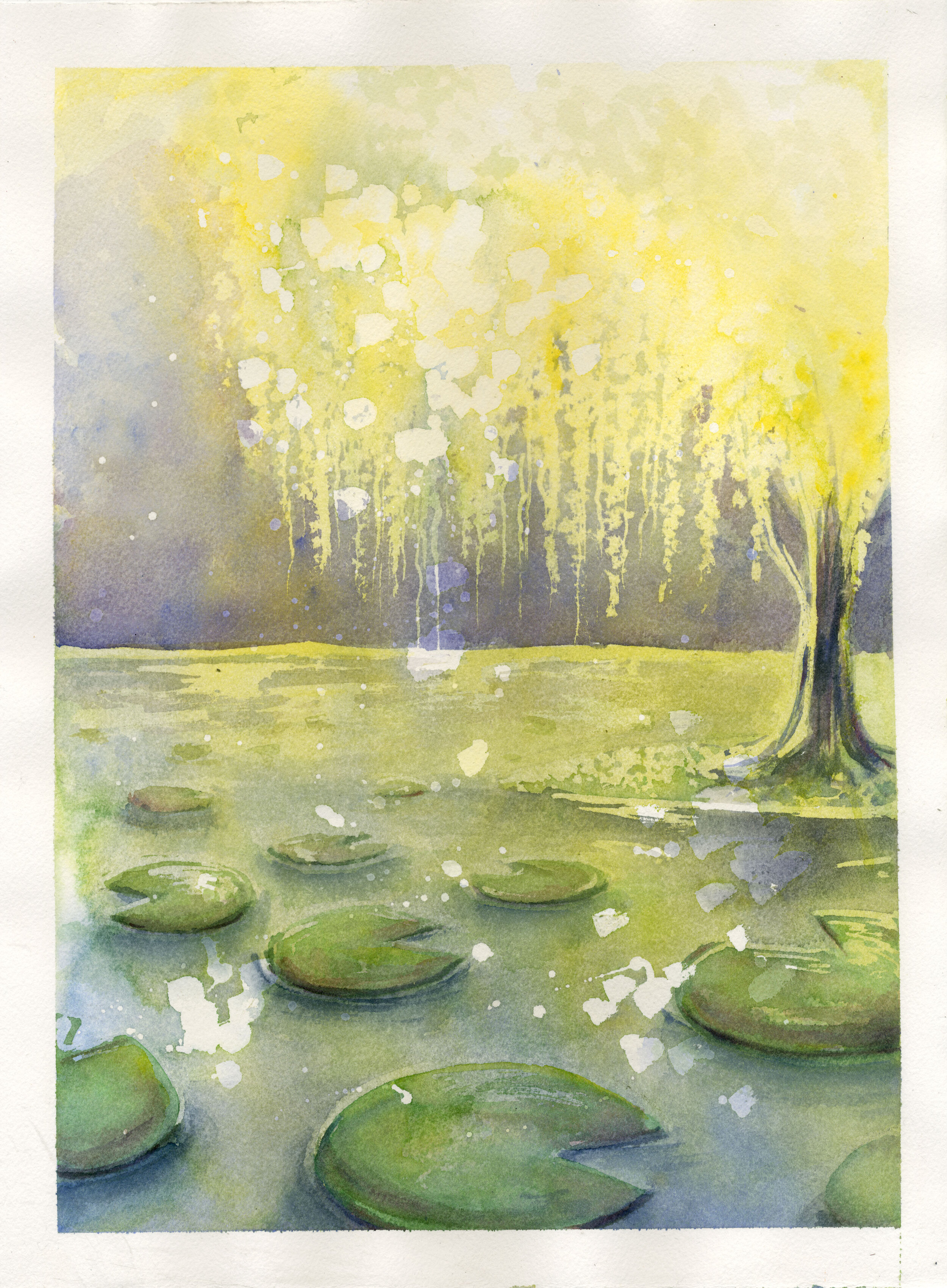 Lilypads and Willows,