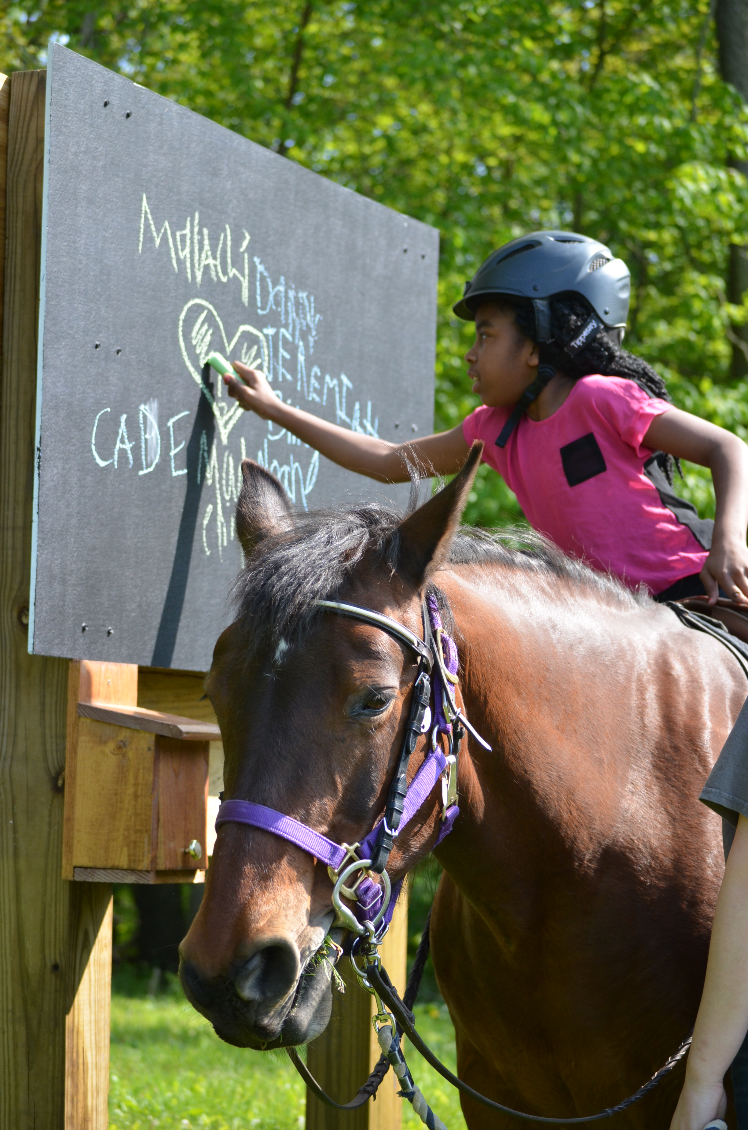 Sensory Trail