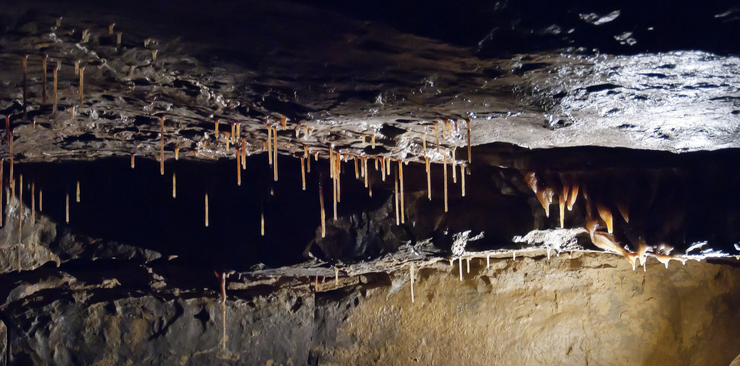 Aillwee Caves iStock-466823662.jpg