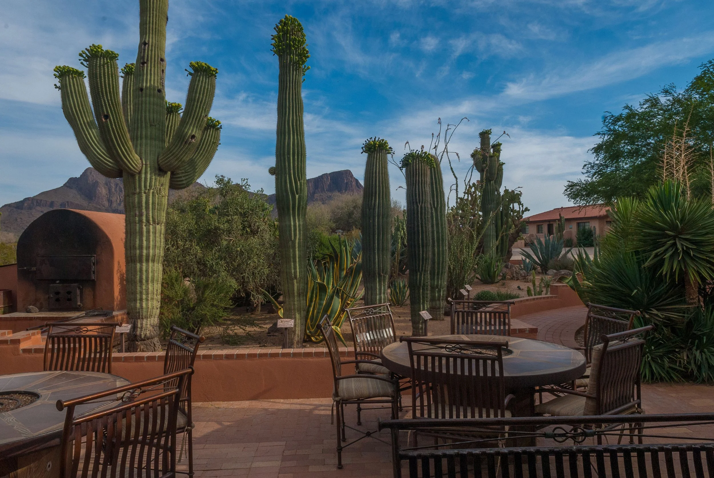 back patio on website - WSR 5.26.jpg