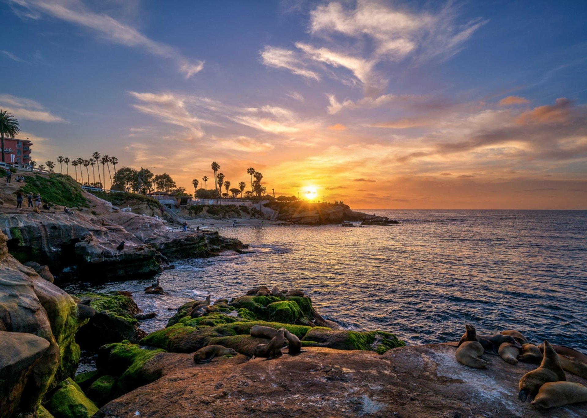 la_Jolla_Cove-large.La Jolla. SD Tourism Authority.1125.jpg