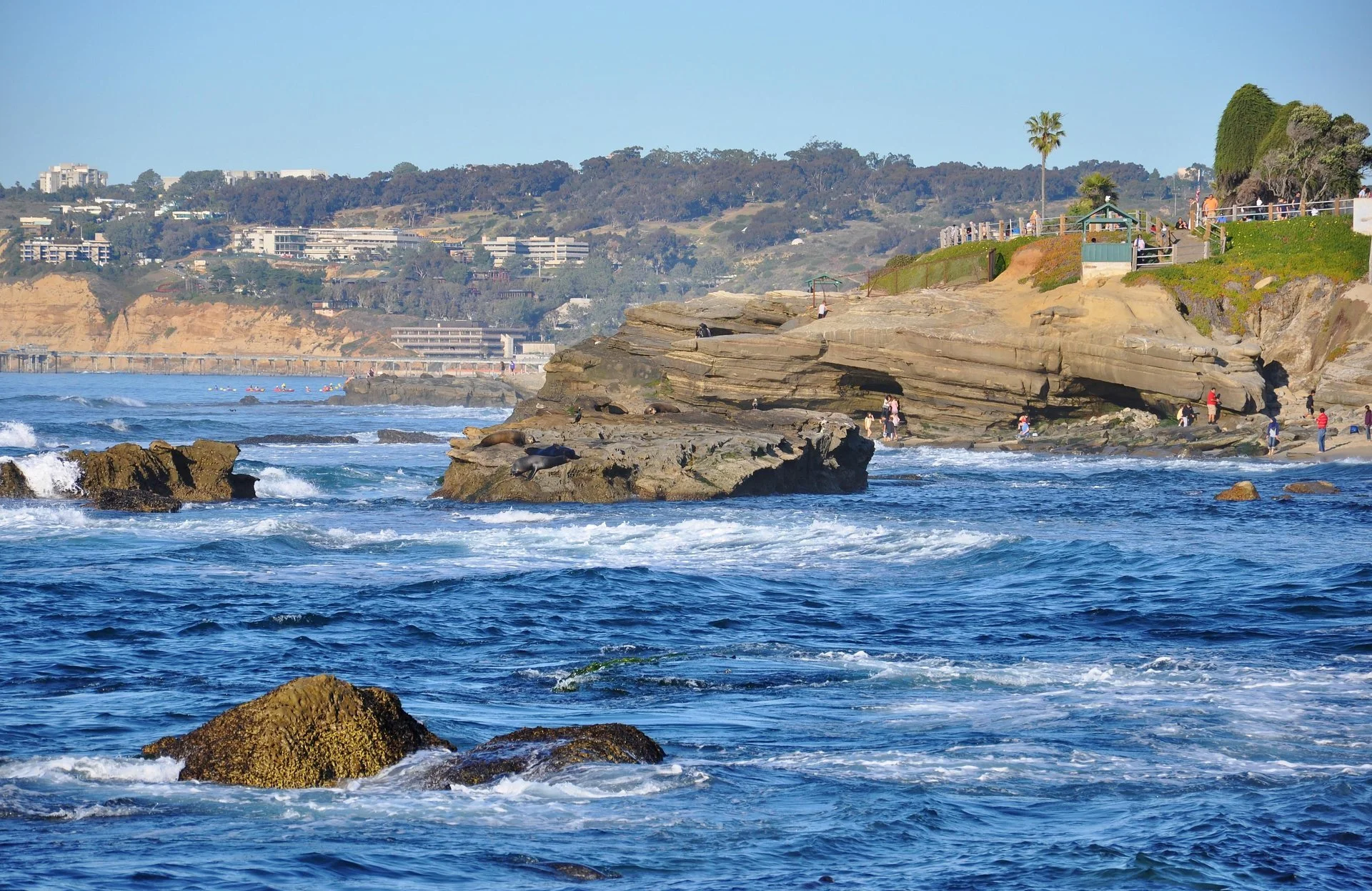 La_Jolla_Coves__Courtesy_Lisa_Field-large.SD Toursim Authority.1125.jpg