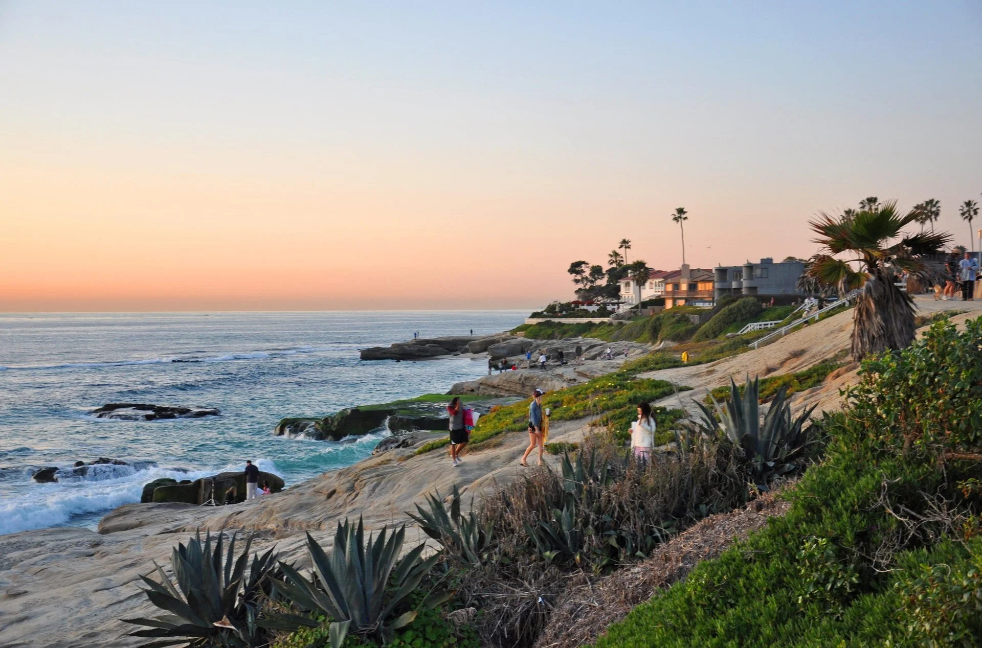 Windansea_Beach__LisaField-large.La Jolla. SD Tourism Authority.1125.jpg