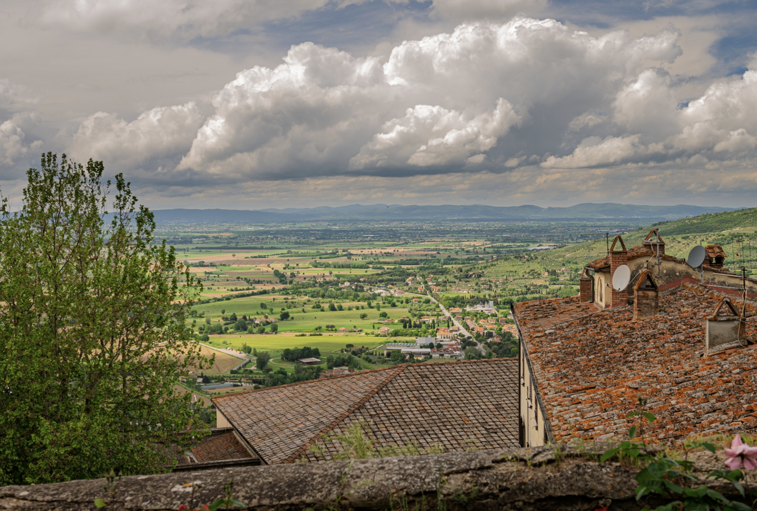 Cortona 3 - HTT 4.26.png