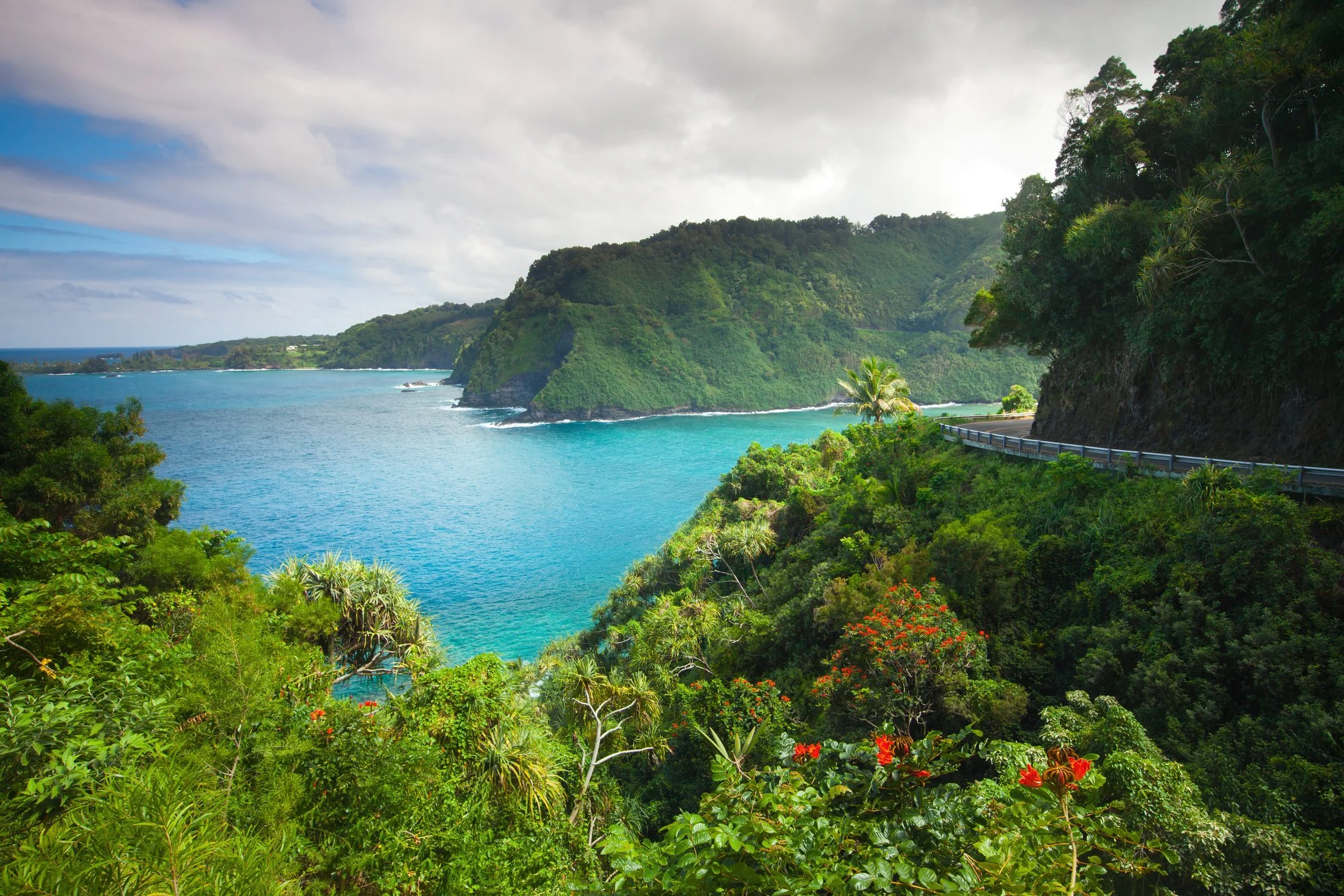 Hana Coast iStock-157683040.jpg