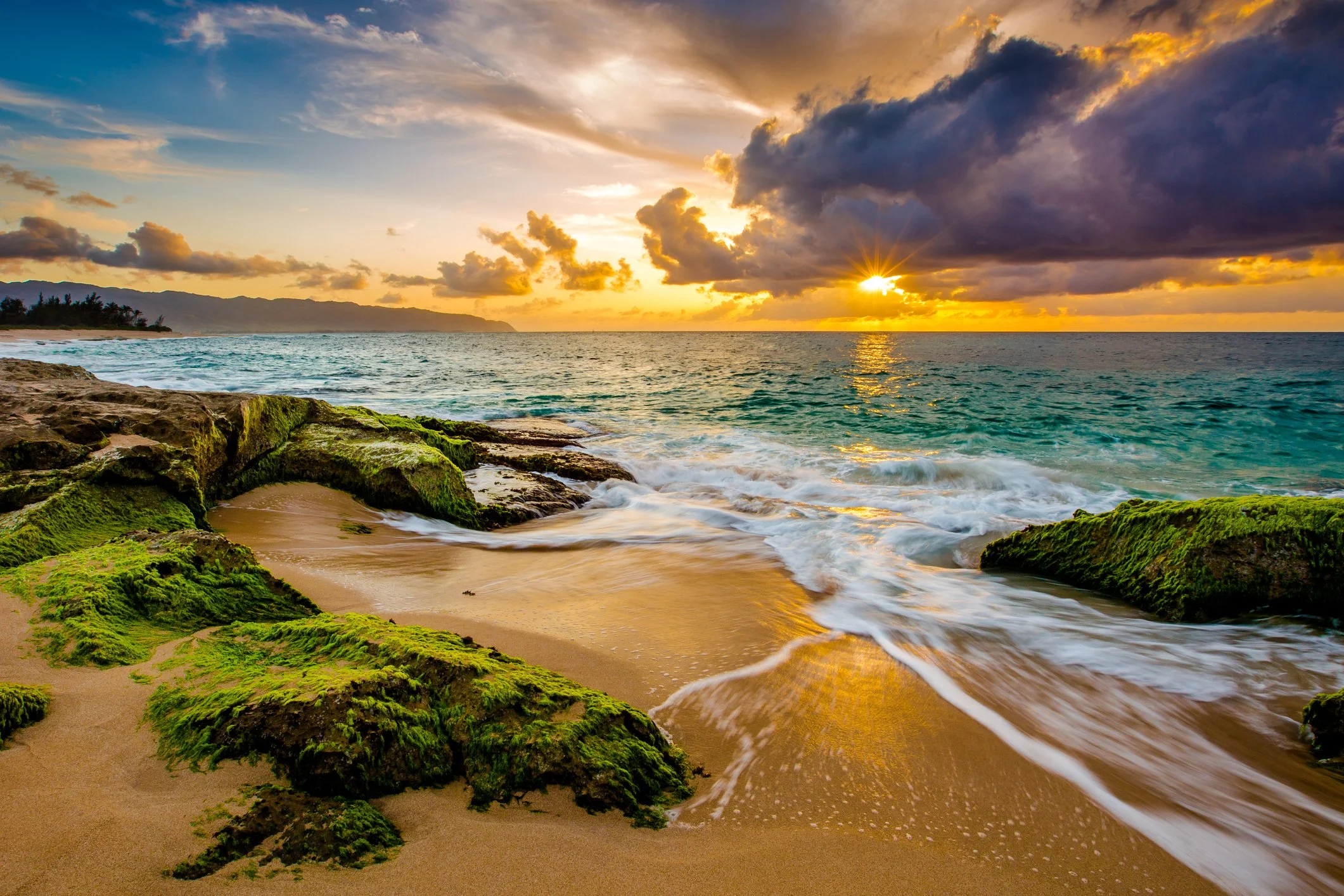 Oahu North Shore iStock-519574260.jpg