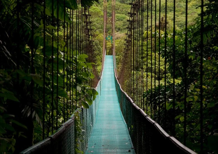 hanging-bridge - Los Maestros 4.26.jpg