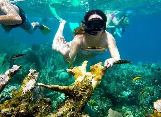 kayak-snorkel - Los Maestros 4.26.jpg