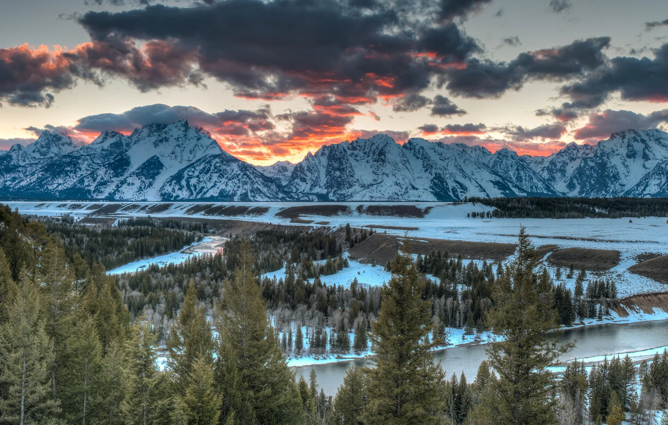 iStock-1298195211.jpg