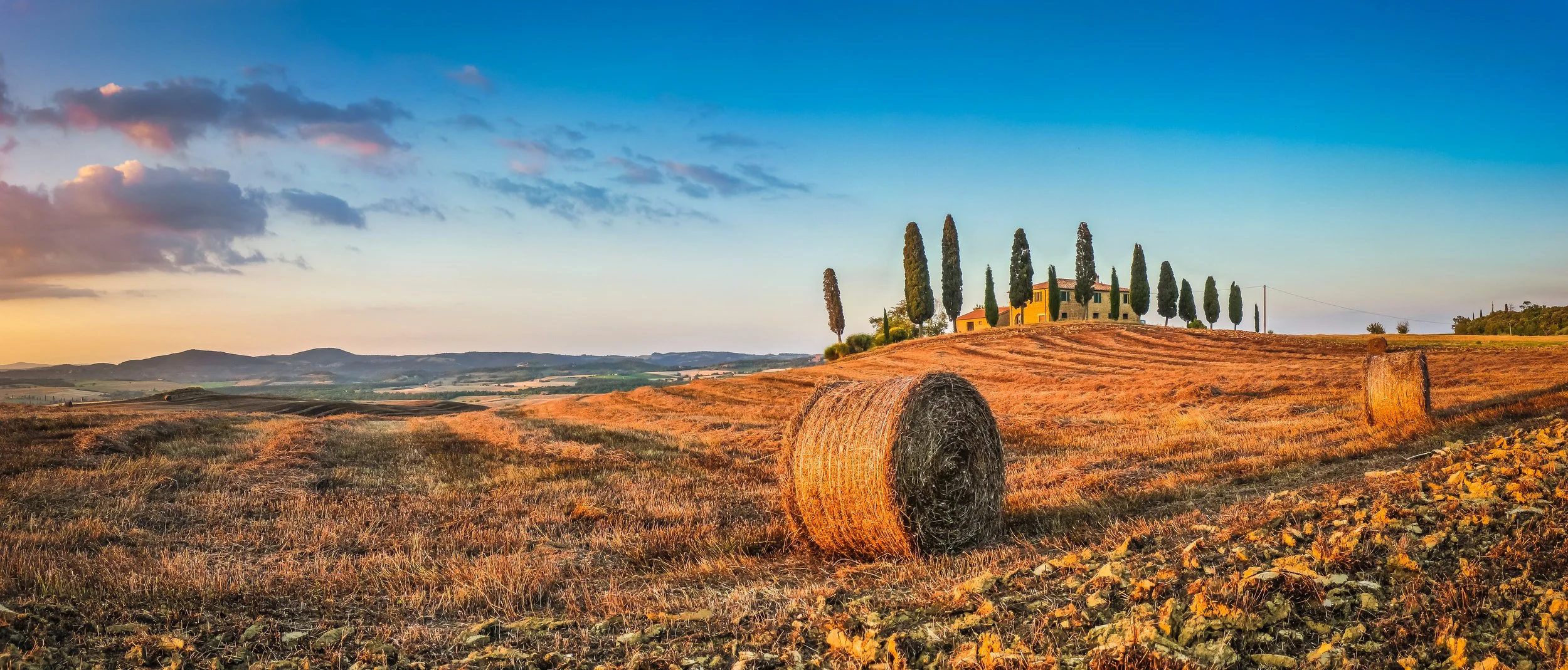 HTT Tuscany Field.jpeg
