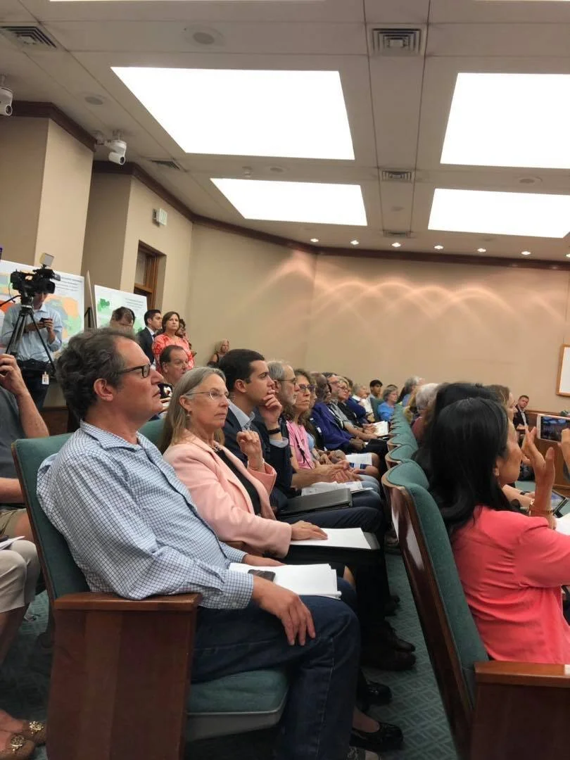 First public input hearing by the House Redistricting Committee / Austin, TX