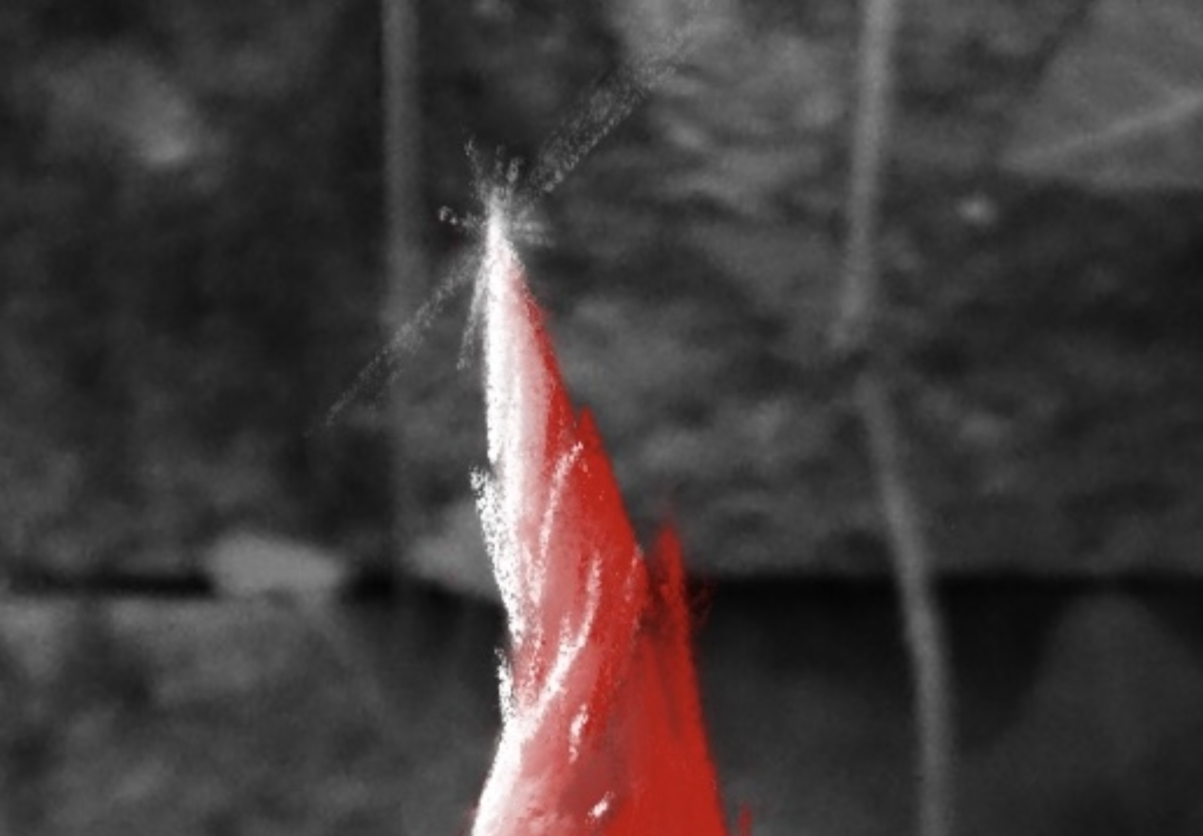 IMG_0731.PNG