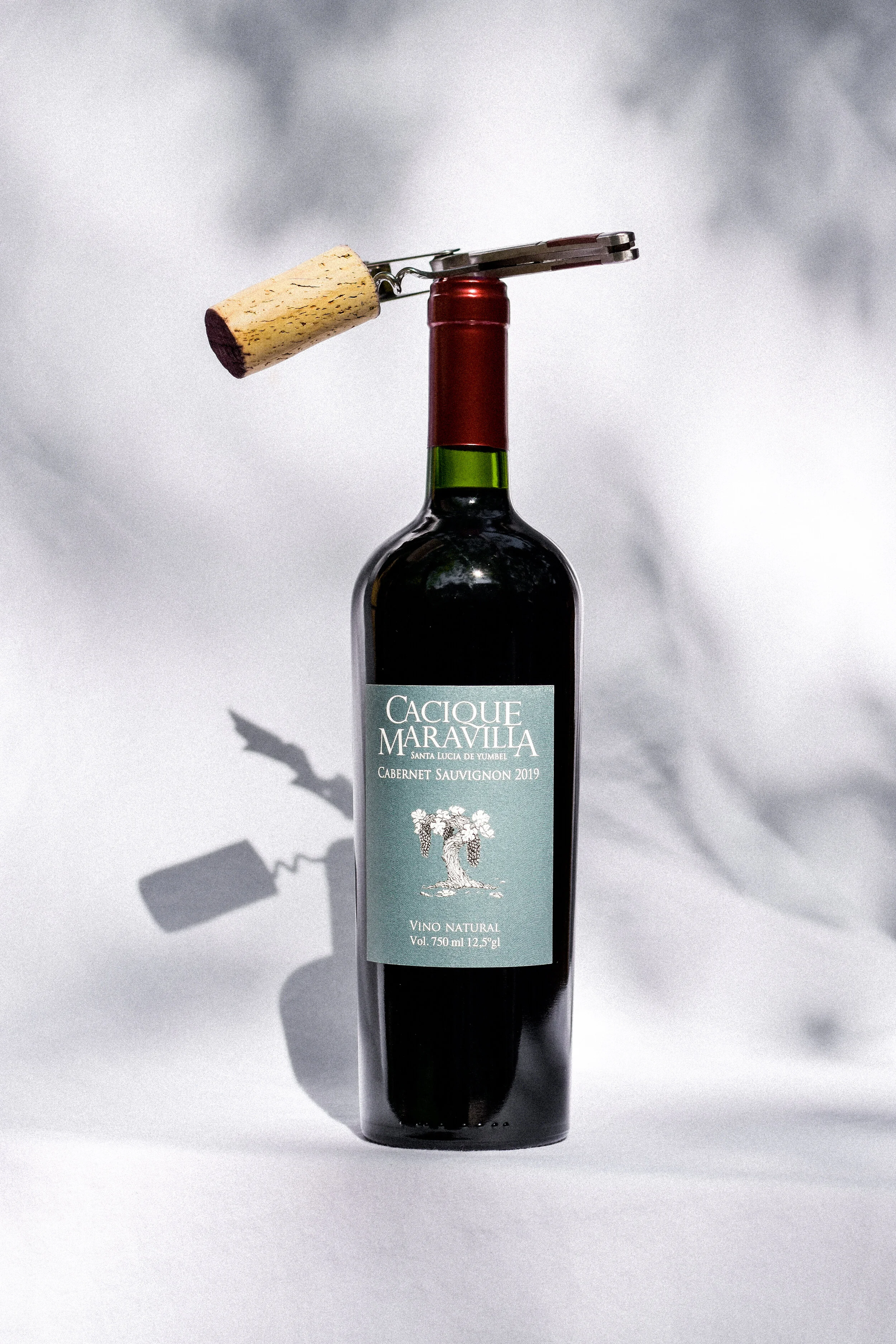  Alta Wines 
